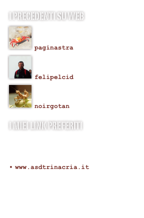 I precedenti su web
￼

paginastra￼

felipelcid
￼

noirgotan
I miei link preferiti
http://felipelcid.splinder.com
www.palermoh1330.it
www.xrun.it
www.spiritotrail.it
www.asdtrinacria.it